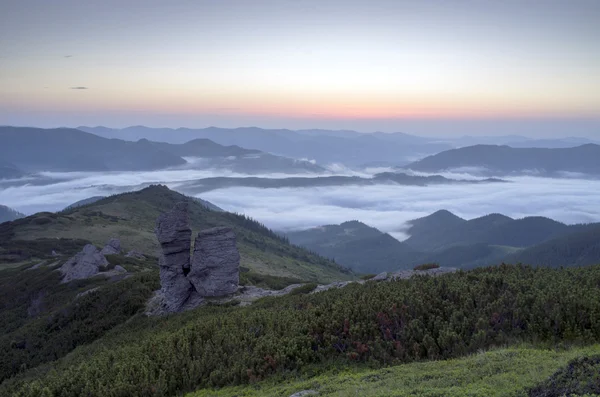 Evening mountain plateau landscape (Carpathian, Ukraine) — Stock Photo, Image